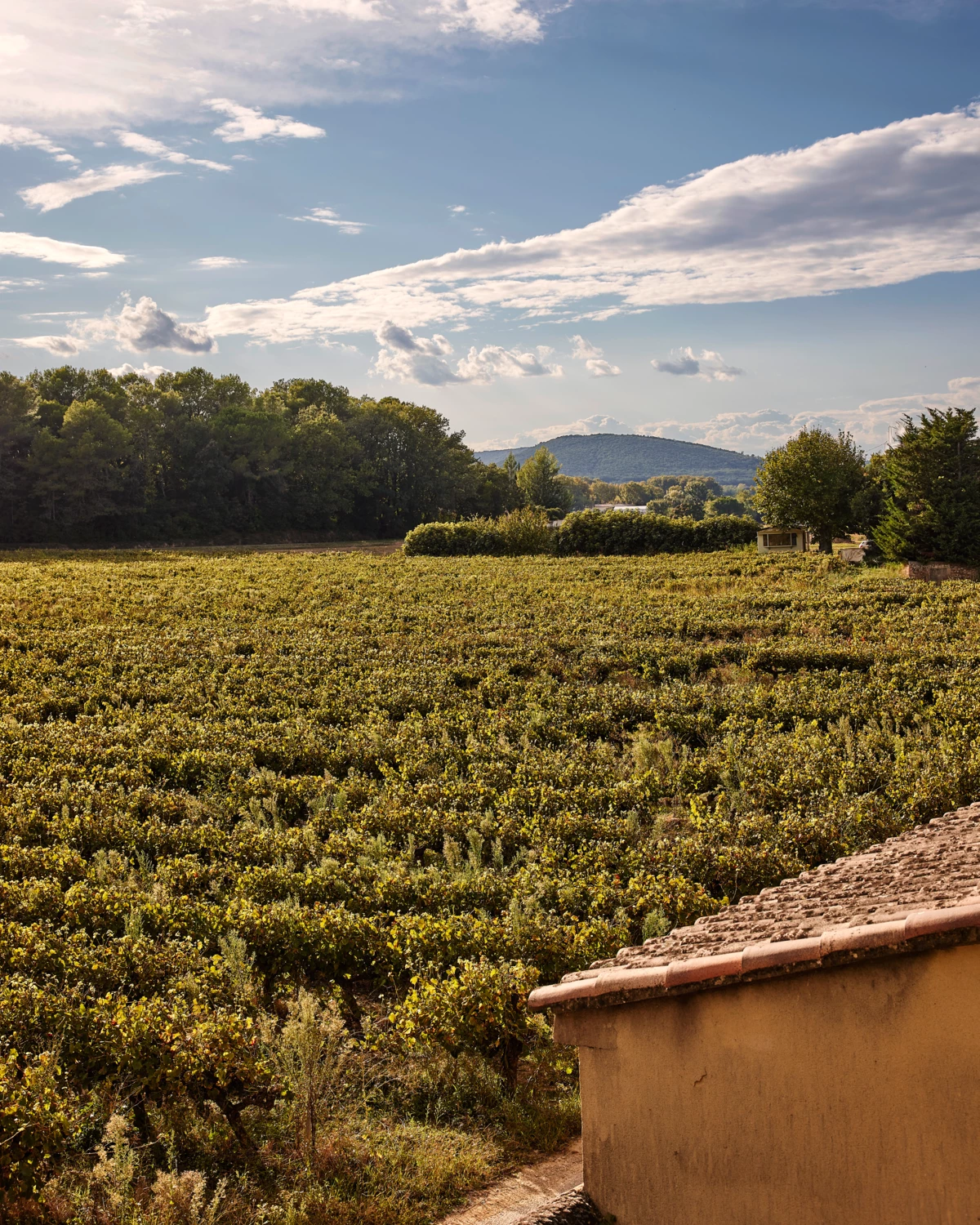 Chateau_de_Montcaud_0483 (1)