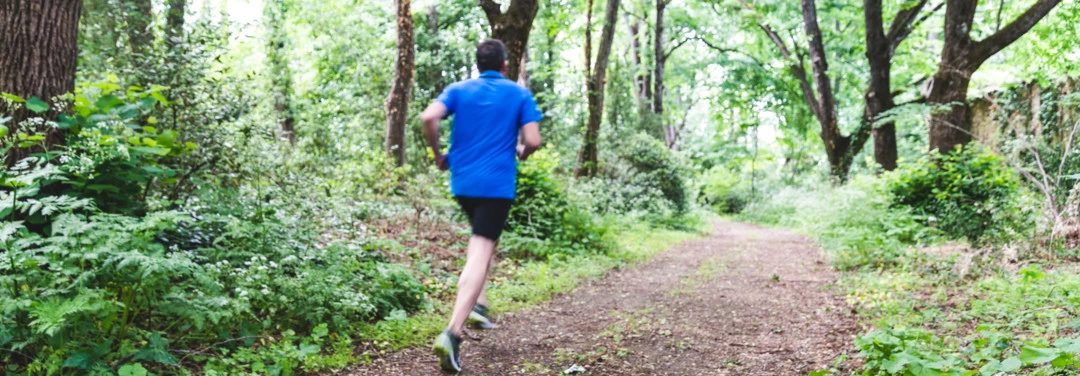 Fitness in the park photo