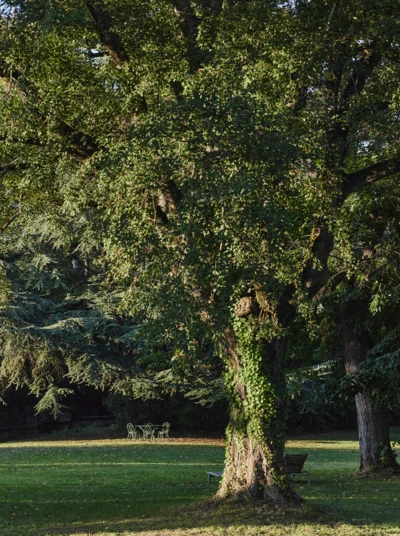 Chateau_de_Montcaud_0523 1