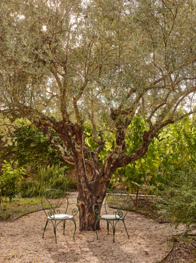 Chateau_de_Montcaud_0479 C. Kerber