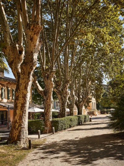 Chateau_de_Montcaud_0042 C. Kerber