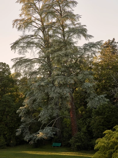 Chateau_de_Montcaud_0696