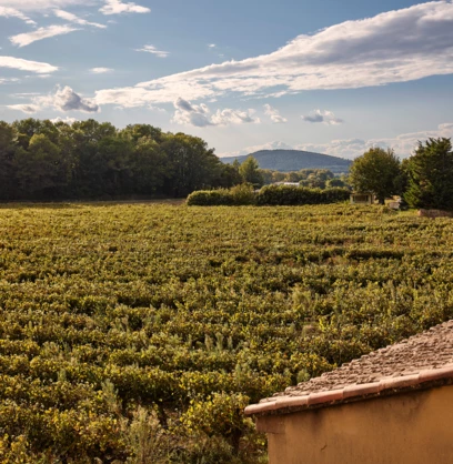 Chateau_de_Montcaud_0483 (1)