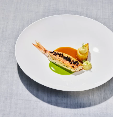 Chateau_de_Montcaud_5_2025_0126 1_2500px_