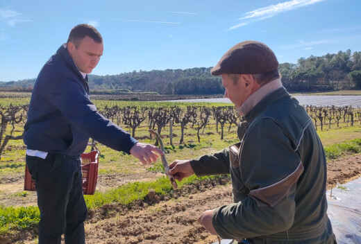 IMG20240307105015-2 (1)