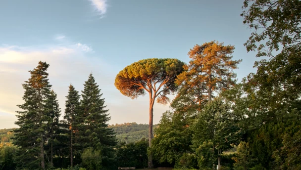 Chateau_de_Montcaud_0002