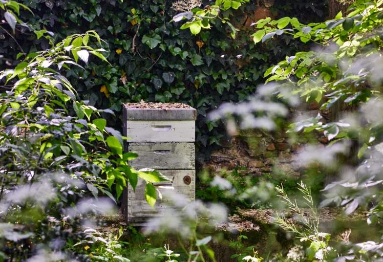 Chateau_de_Montcaud_5_2025_0802