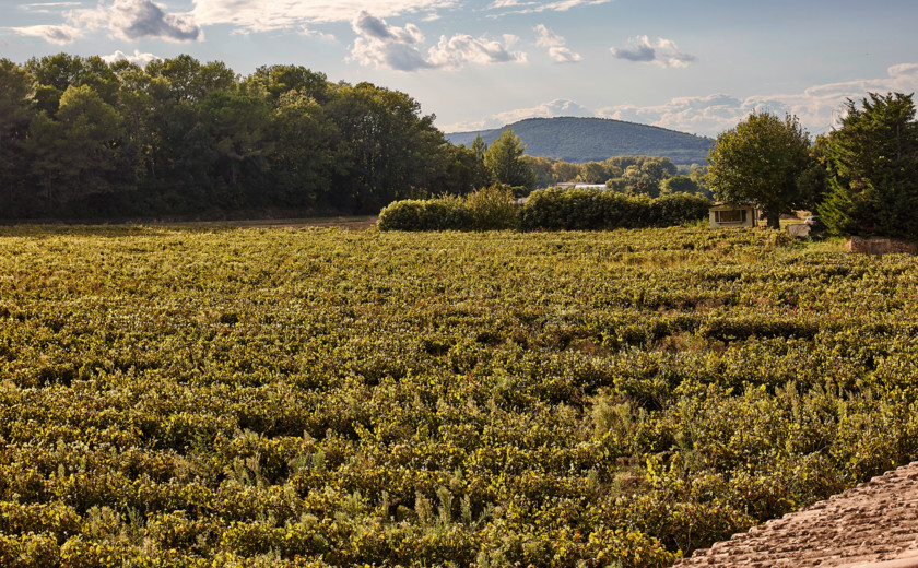 Chateau_de_Montcaud_0483 (1)