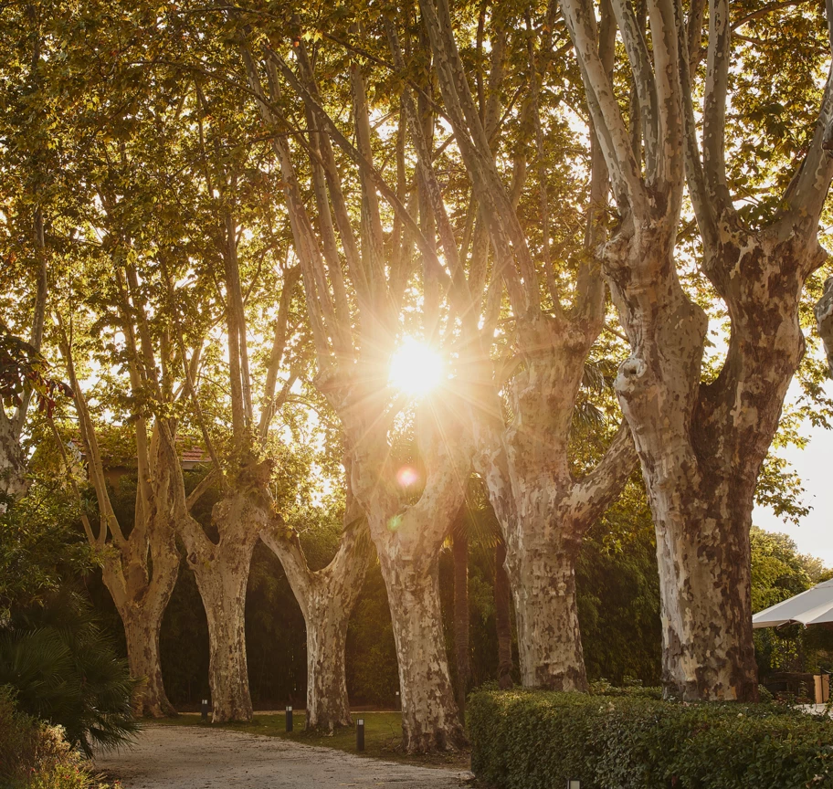 Chateau_de_Montcaud_0500_2500px_