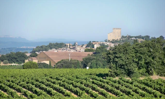 IMG Chateaudupape 2