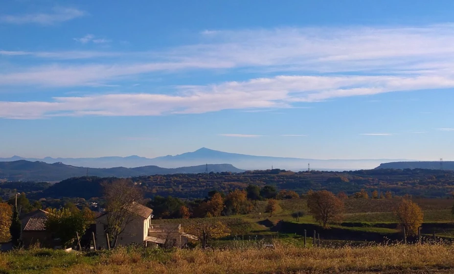 Insider tips from Château de Montcaud - Chateau de Montcaud