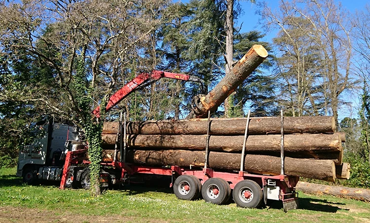 Schlosspark - Chateau de Montcaud