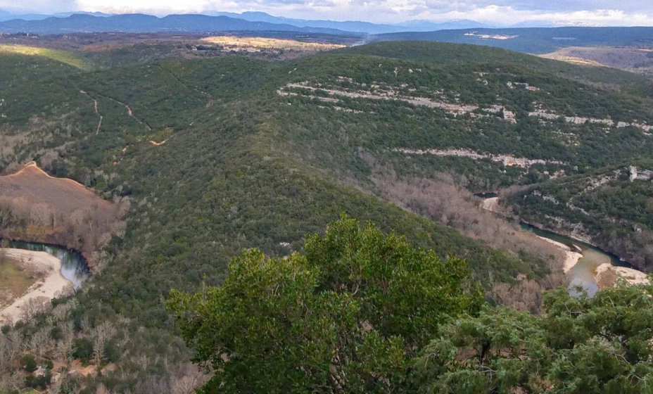 Expériences et bons plans d’exception