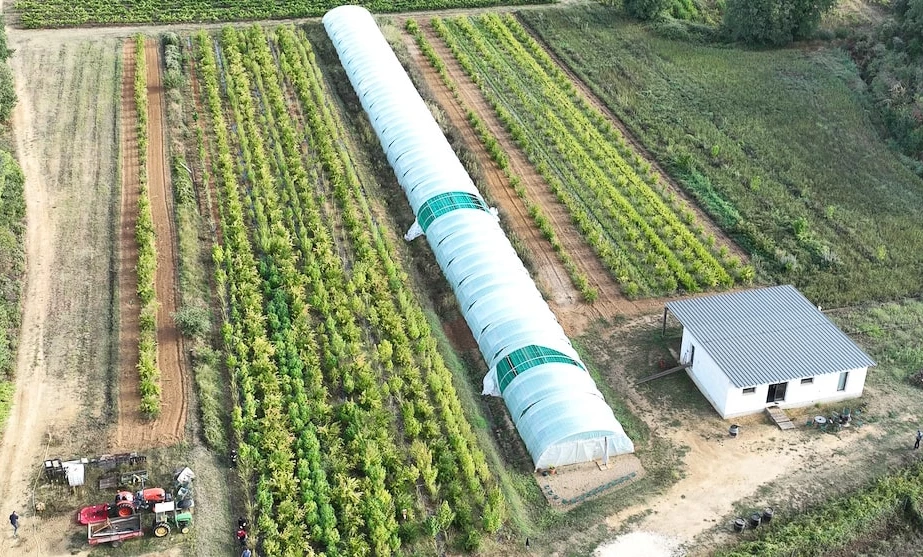 Les joyaux de la région