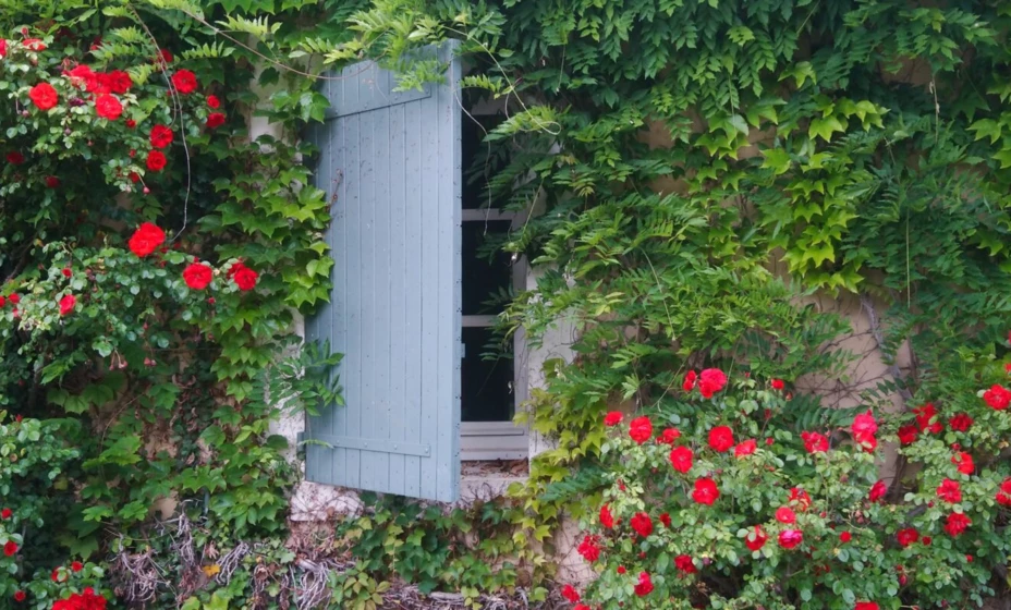 La vie en rose im Château de Montcaud - Chateau de Montcaud