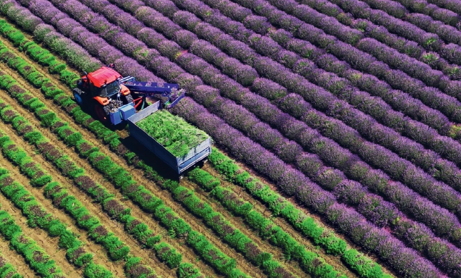 Chateau de Montcaud im 