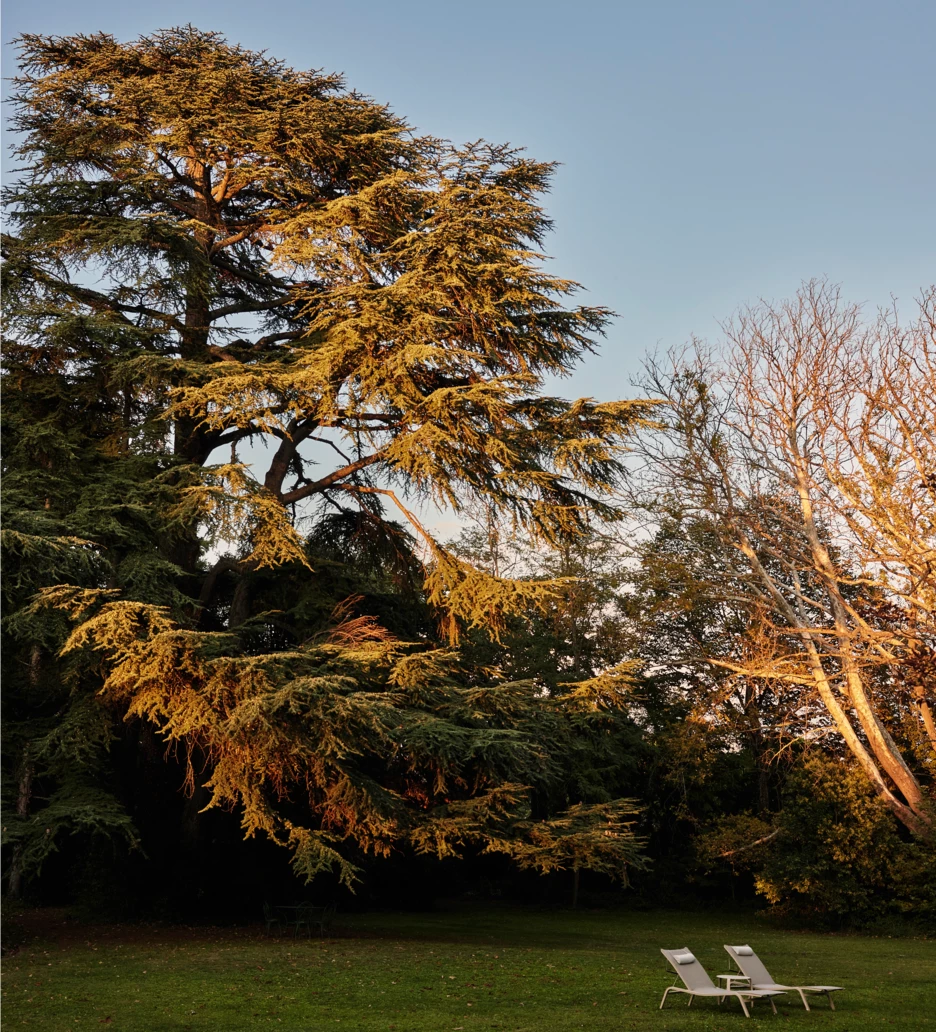 Chateau_de_Montcaud_0721