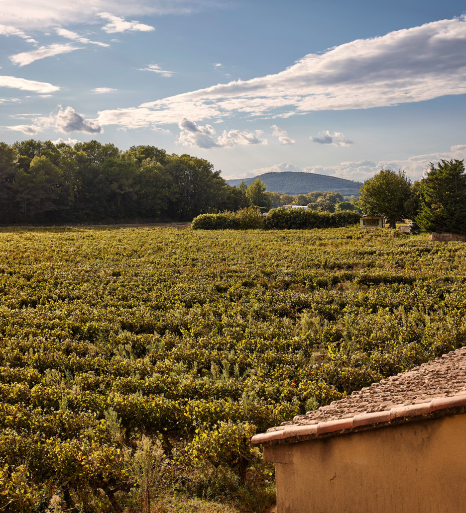 Chateau_de_Montcaud_0483