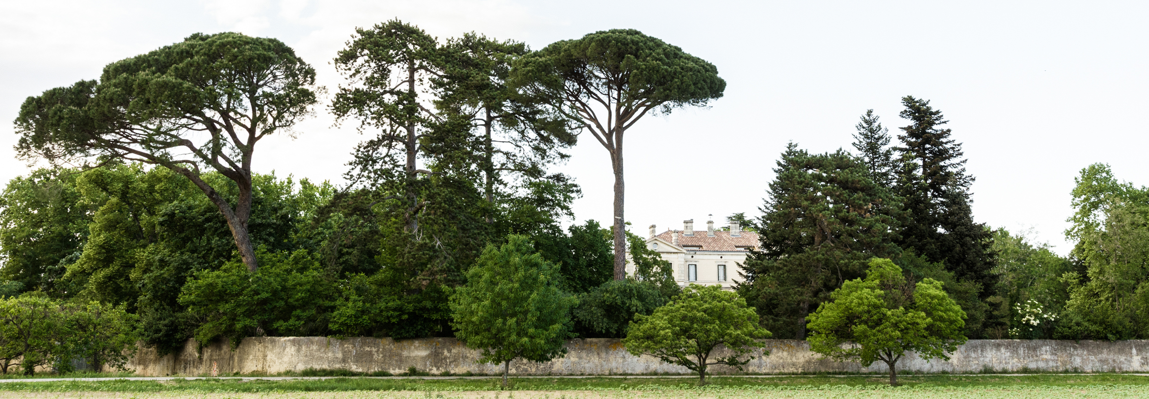 C'est la vue de l'Hôtel Château de Montcaud que vous avez en arrivant de Bagnol-sur-Cèze. Situé en Provence, dans le sud de la France, l'hôtel château est entouré d'un magnifique parc avec des arbres centenaires et un mur historique.