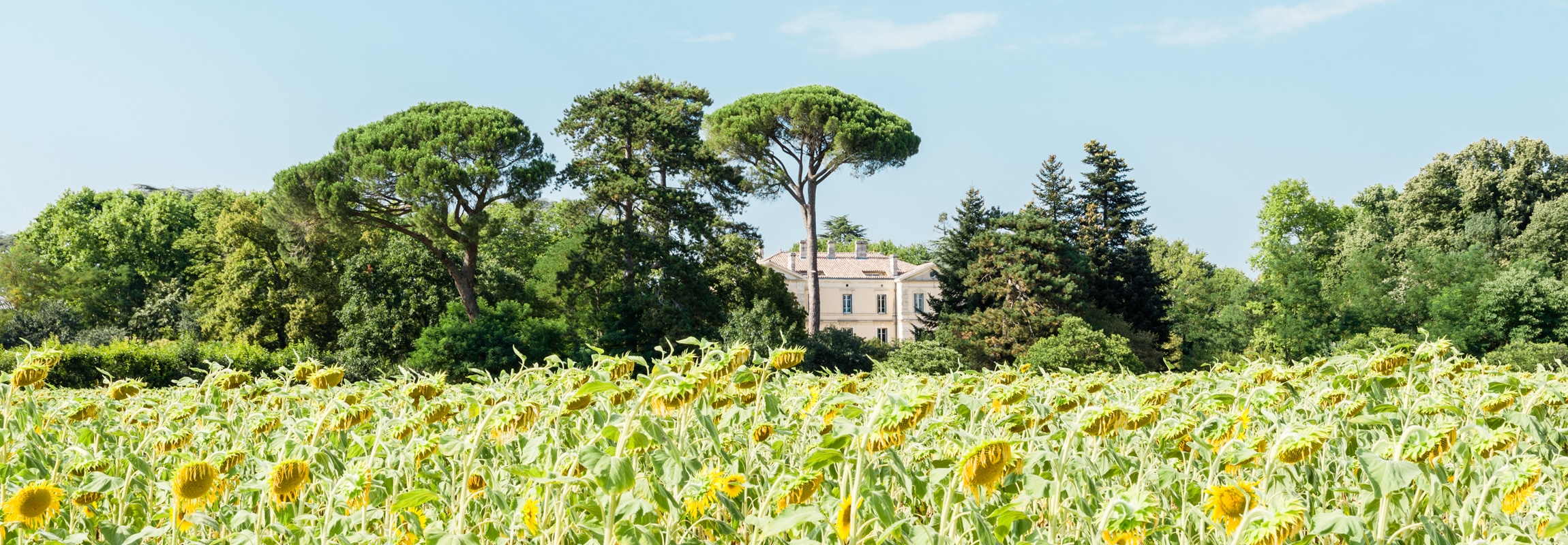 Promotions and Packages at Château de Montcaud