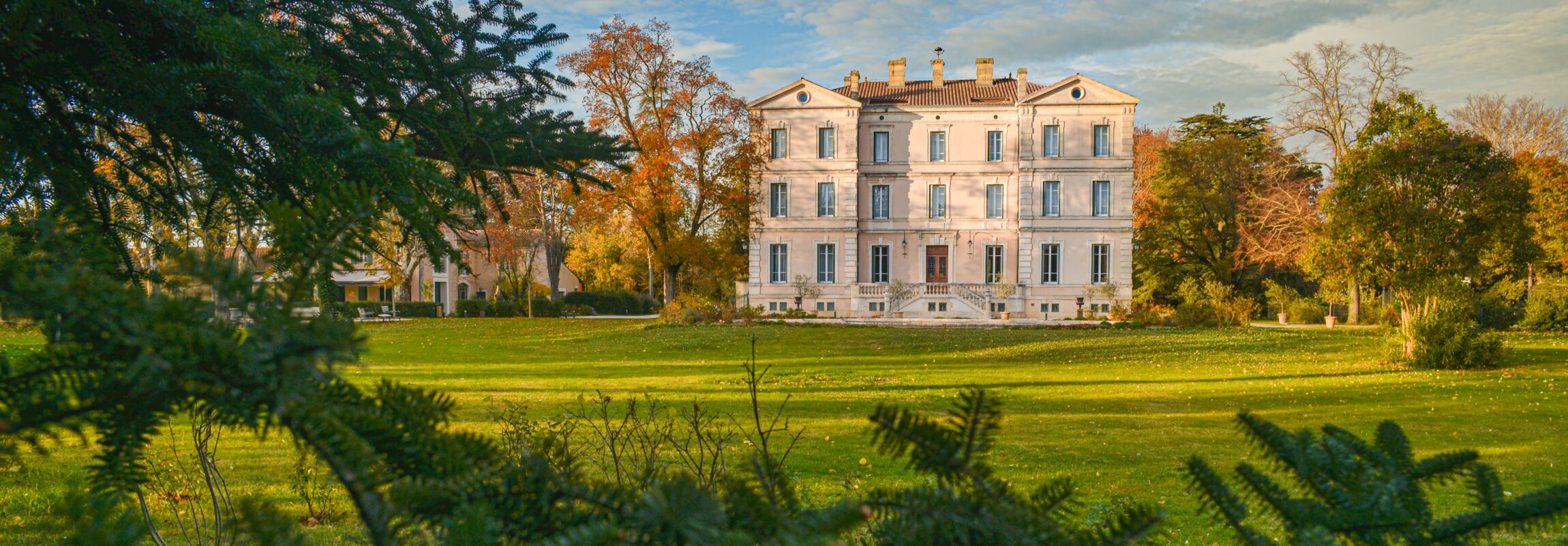 Sonnenblumenfeld, Château de Montcaud Hotel Provence Südfrankreich