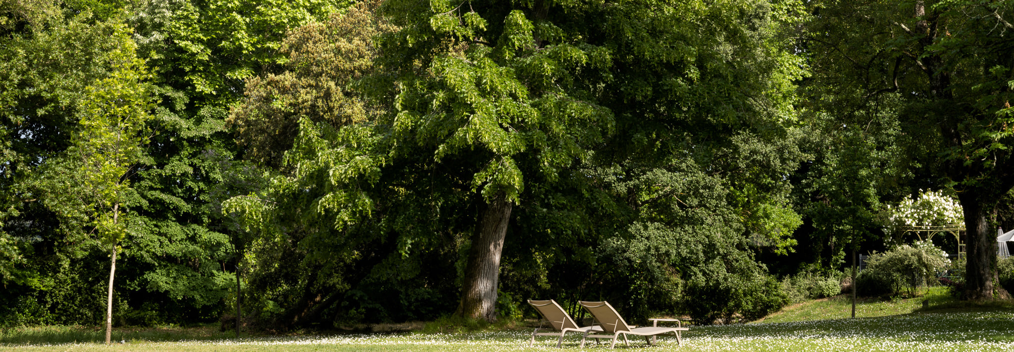 Anciens et nouveaux arbres forment l'inventaire d'un lieu magique - le parc du Château de Montcaud, Hôtel en Provence, Sud de la France.